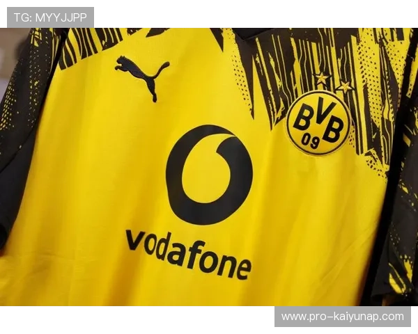 多特蒙德主帅与球迷对骂风波引发热议：足球场上的矛盾与共鸣